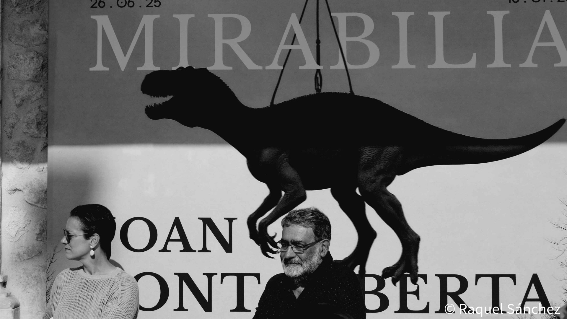 ‘MIRABILIA’: FONTCUBERTA EN LAS NAVES DE GAMAZO